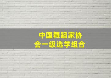 中国舞蹈家协会一级选学组合