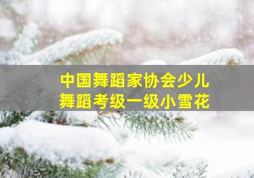 中国舞蹈家协会少儿舞蹈考级一级小雪花