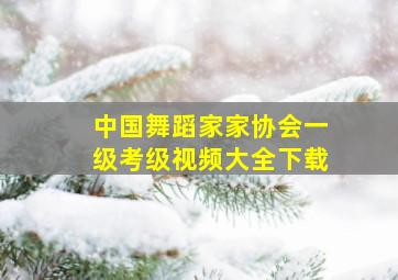 中国舞蹈家家协会一级考级视频大全下载