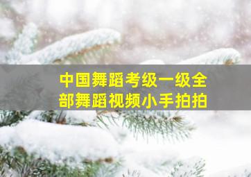 中国舞蹈考级一级全部舞蹈视频小手拍拍