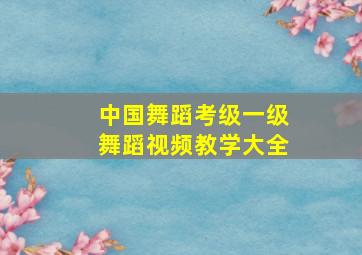 中国舞蹈考级一级舞蹈视频教学大全