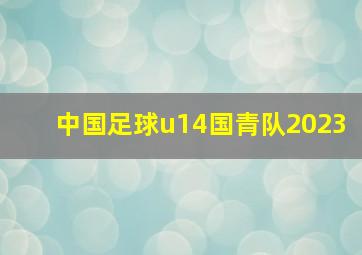 中国足球u14国青队2023