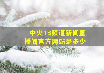 中央13频道新闻直播间官方网站是多少