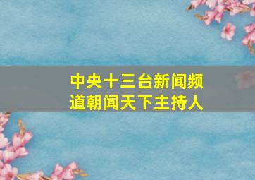 中央十三台新闻频道朝闻天下主持人