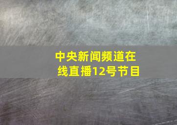 中央新闻频道在线直播12号节目