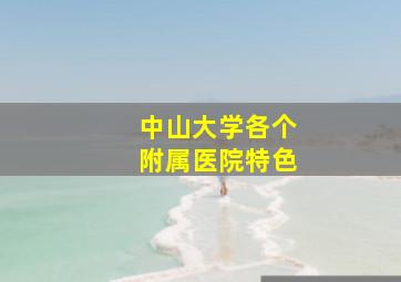 中山大学各个附属医院特色