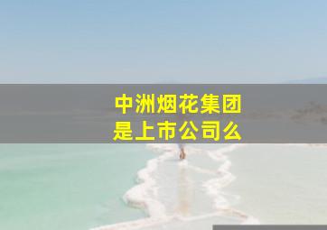 中洲烟花集团是上市公司么