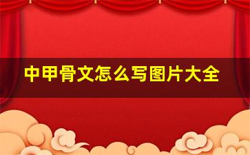 中甲骨文怎么写图片大全