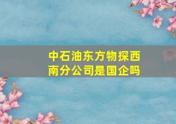 中石油东方物探西南分公司是国企吗