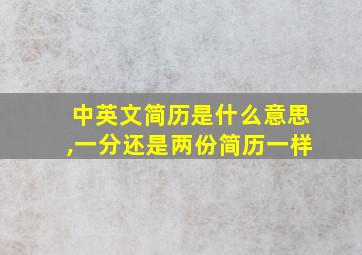 中英文简历是什么意思,一分还是两份简历一样