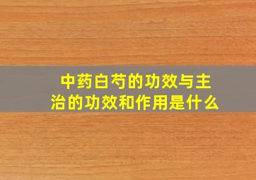 中药白芍的功效与主治的功效和作用是什么