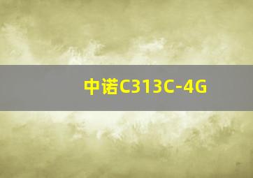 中诺C313C-4G