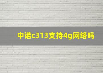 中诺c313支持4g网络吗