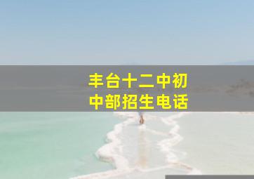 丰台十二中初中部招生电话