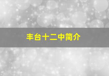 丰台十二中简介