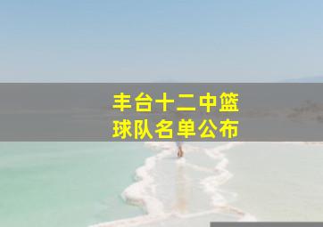 丰台十二中篮球队名单公布