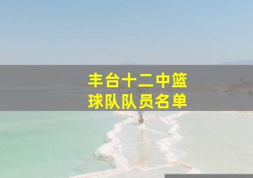 丰台十二中篮球队队员名单