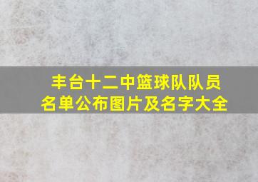 丰台十二中篮球队队员名单公布图片及名字大全