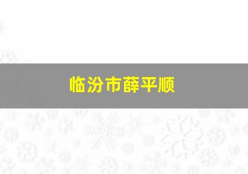 临汾市薛平顺