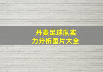 丹麦足球队实力分析图片大全