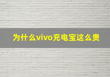 为什么vivo充电宝这么贵