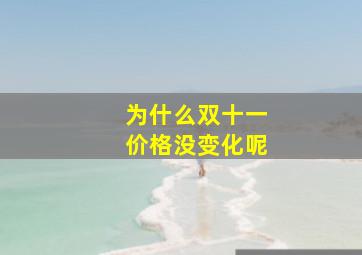 为什么双十一价格没变化呢