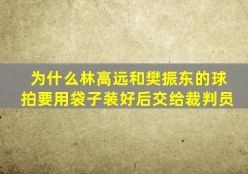 为什么林高远和樊振东的球拍要用袋子装好后交给裁判员