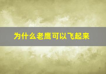 为什么老鹰可以飞起来