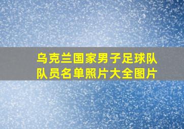 乌克兰国家男子足球队队员名单照片大全图片