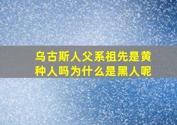 乌古斯人父系祖先是黄种人吗为什么是黑人呢