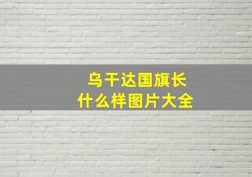 乌干达国旗长什么样图片大全