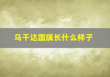 乌干达国旗长什么样子