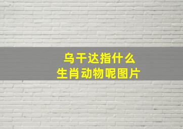 乌干达指什么生肖动物呢图片