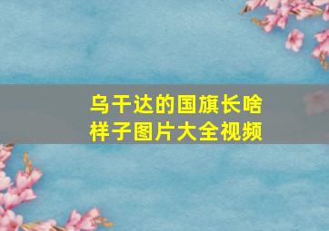 乌干达的国旗长啥样子图片大全视频