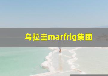 乌拉圭marfrig集团