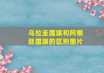 乌拉圭国旗和阿根廷国旗的区别图片