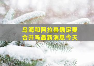 乌海和阿拉善确定要合并吗最新消息今天