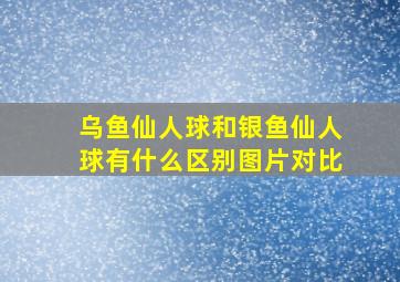 乌鱼仙人球和银鱼仙人球有什么区别图片对比