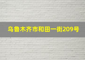 乌鲁木齐市和田一街209号