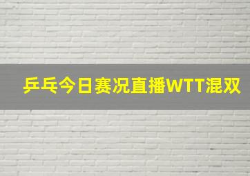 乒乓今日赛况直播WTT混双