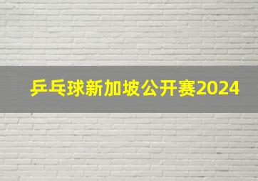 乒乓球新加坡公开赛2024