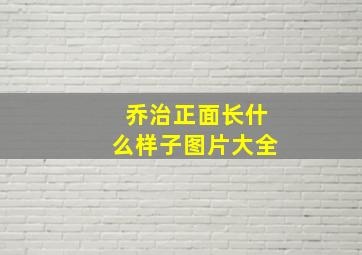 乔治正面长什么样子图片大全