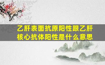 乙肝表面抗原阳性跟乙肝核心抗体阳性是什么意思