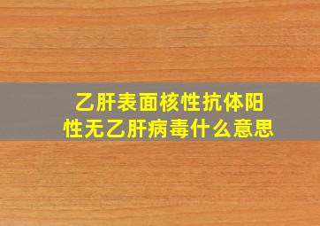 乙肝表面核性抗体阳性无乙肝病毒什么意思