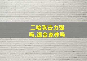 二哈攻击力强吗,适合家养吗