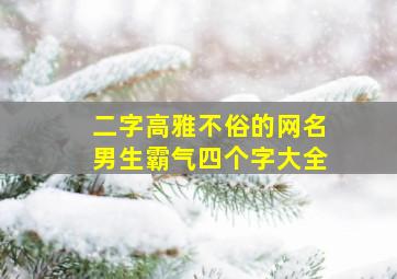 二字高雅不俗的网名男生霸气四个字大全