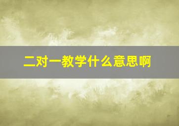 二对一教学什么意思啊