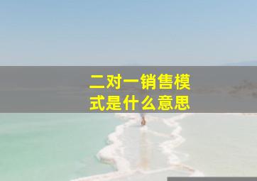 二对一销售模式是什么意思