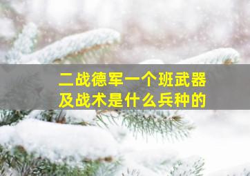 二战德军一个班武器及战术是什么兵种的