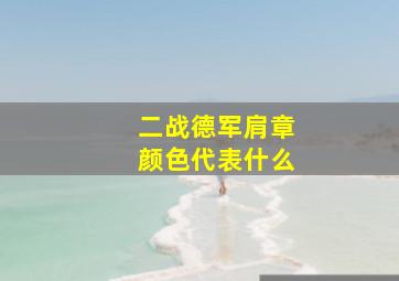 二战德军肩章颜色代表什么